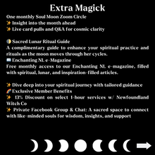 Load image into Gallery viewer, The Ascension Lair - VIP - 55.55$