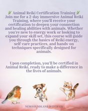 Load image into Gallery viewer, 2 Day Animal Reiki Certification Training
