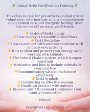 Load image into Gallery viewer, 2 Day Animal Reiki Certification Training
