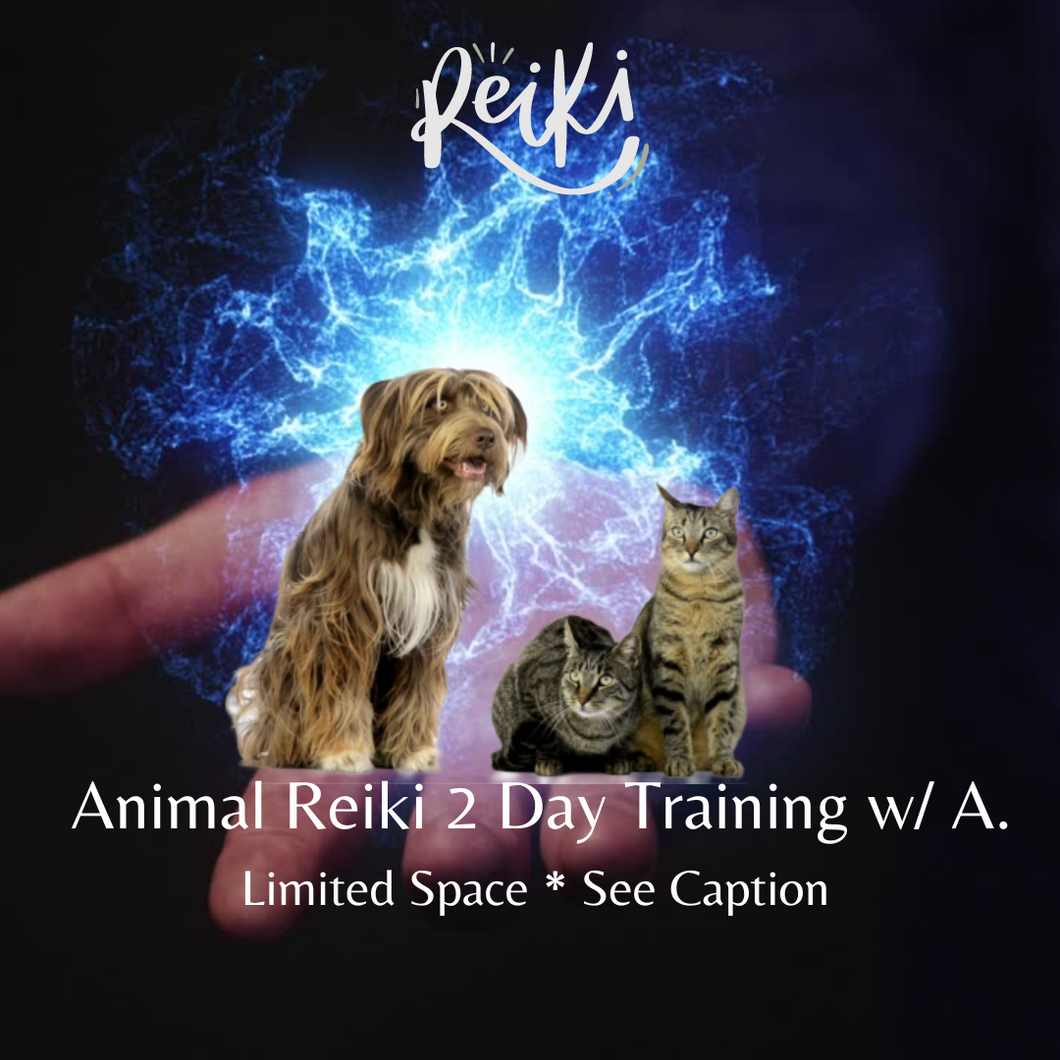 2 Day Animal Reiki Certification Training