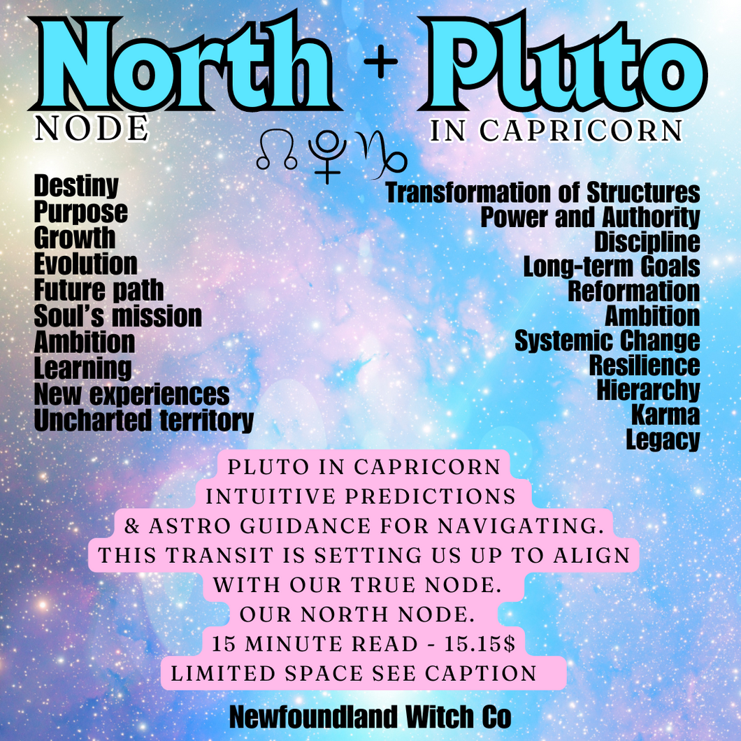 Pluto in Capricorn North Node Alignment Session