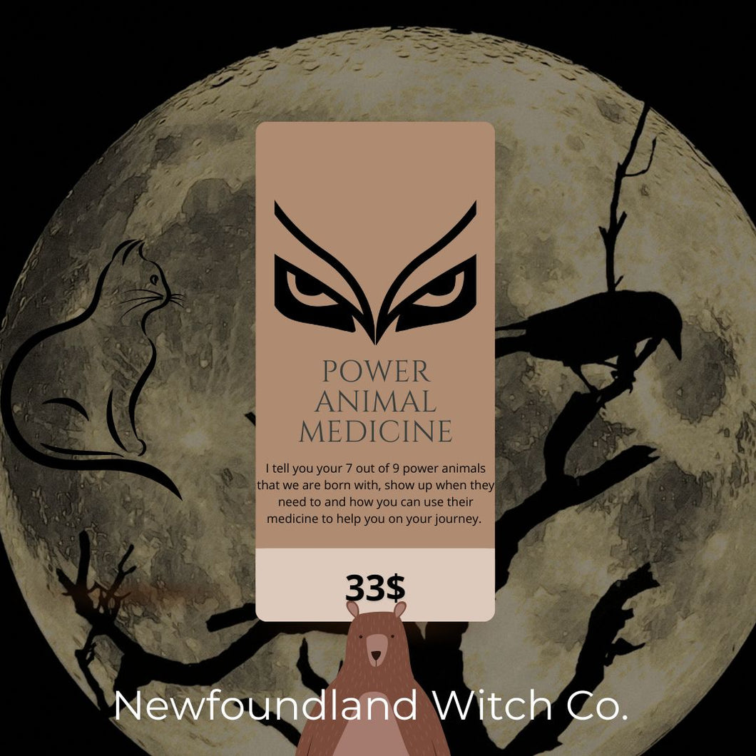 Animal Power Medicine